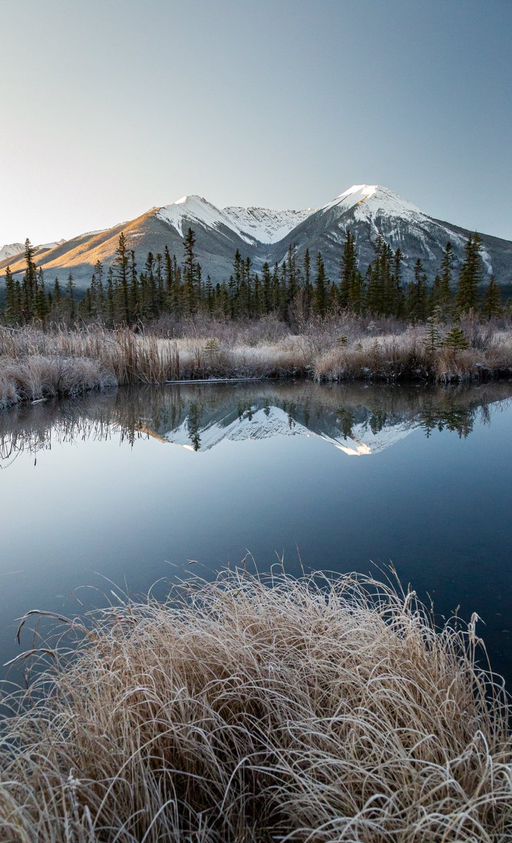 Just before things got really cold this year in #banffnationalpark.