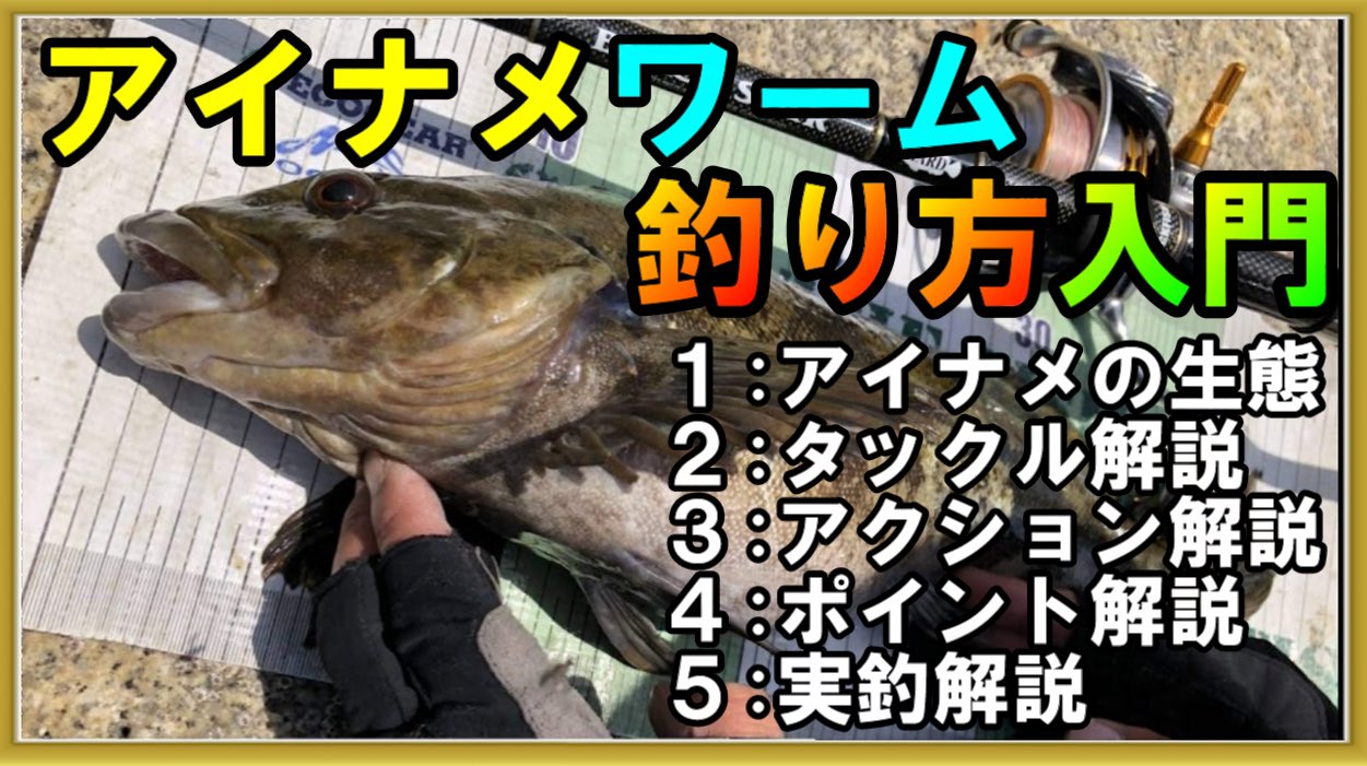 ロックフィッシュ大全 Rockfish Daizen Twitter