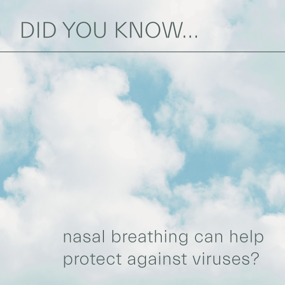 AbFabFit's tweet photo. Truth: its impossible to isolate yourself from what's in the air, in drinking water, in soil where food grows. "How many viruses are in your body, as you breathe? 1,000,000,000,000,000 #virome is genetic database of life on earthβ-- @DrZachBush #WeAreNature #IntelligenceOfNature https://t.co/sK38j7sR6K