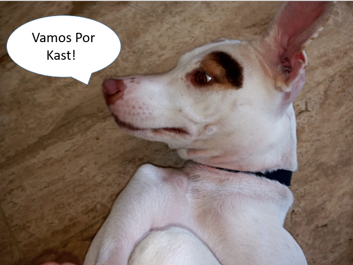 Sebastian178065's tweet photo. Manchi dice que votemos por Kast! #PerritosLindosConKast https://t.co/K0CdSf3h3l