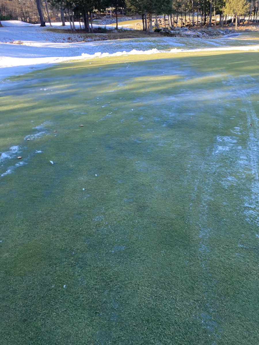 phil@belgrade tweet media