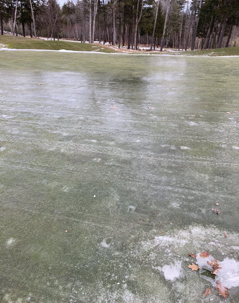 phil@belgrade tweet media