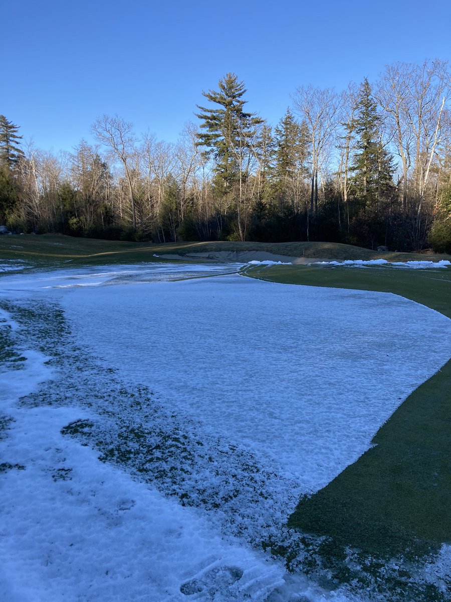 phil@belgrade tweet media