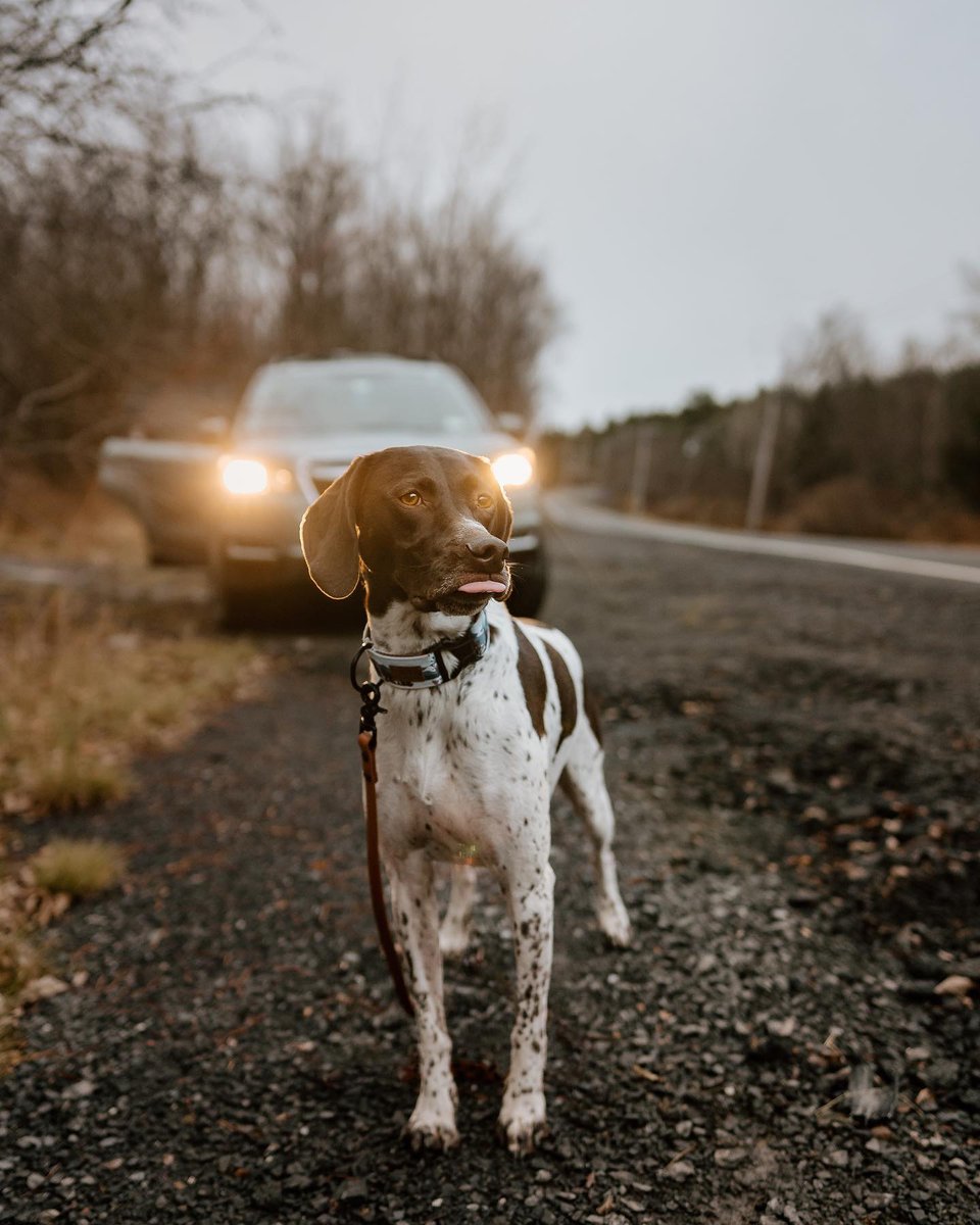 Throw some 😋😜 in the comments if you're in a silly goofy mood because it's Friday! Lol 

(📸: <a href="/adventures/">adventures</a>.with.willow)