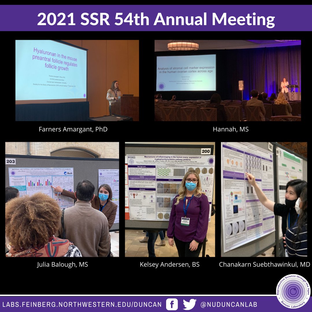 NUDuncanLab's tweet photo. Another great day for the #NUDuncanLab! We had excellent talks and poster presentations from several of our lab members at the SSR annual meeting! 
#SSR2021 #WomeninSTEM #ReproductiveScience
@NU_CRS https://t.co/wVFaSRnnJg