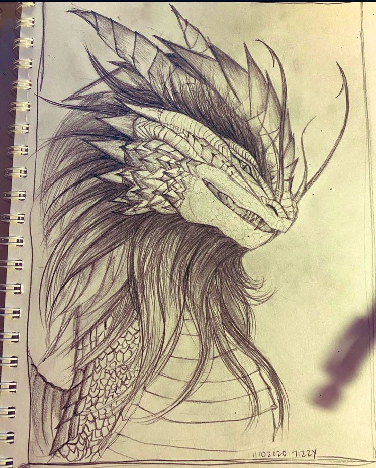 🐲TIZZY🌺🇲🇾Solo Sapien🦂🇵🇸 tweet media