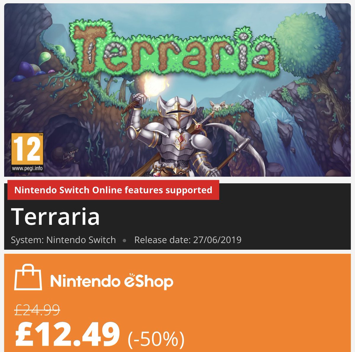 Terraria for nintendo switch фото 5