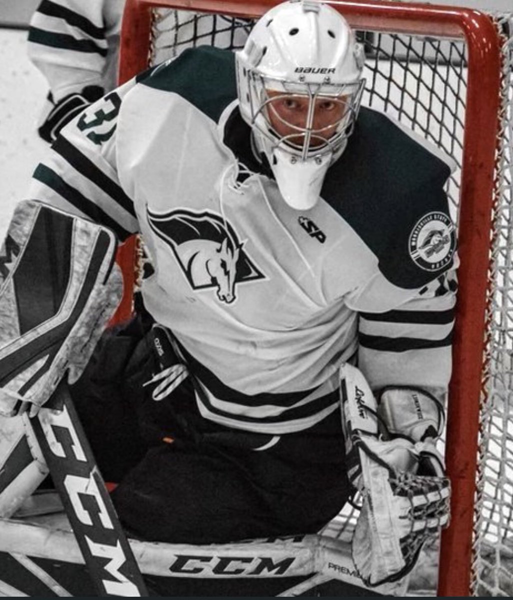 swan_hockey's tweet photo. Congratulations to the BIG MAN Owen Liskiewicz on signing with the @BlackBearsFPHL @TheFPHL ! Best of luck Owen! #SwanHockey #PerformanceIsKing #ItsAllAboutProgress #Swan https://t.co/YXH1KRkpCE