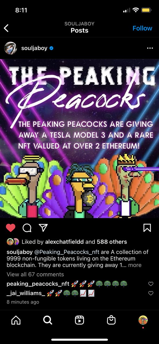 Peaking Peacocks - PROJECT OVER tweet media