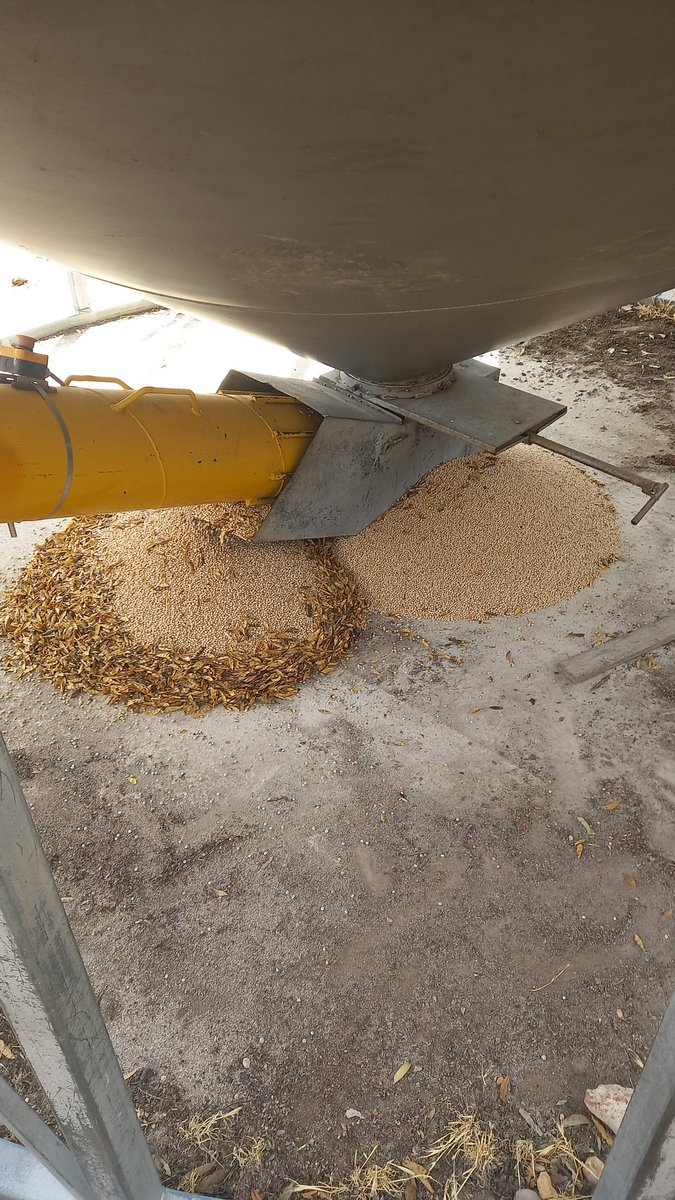 Sam Higham tweet media