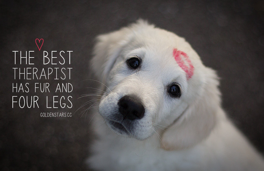 MomosBargains's tweet photo. I can't tell you how true this is! https://t.co/3bvJTqd0jP