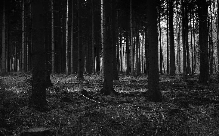 Bazıları aldıkları eğitimle, kendilerini zeki zann ediyorlar,
fakat farkın da olma dan, birilerinin kölesi olmuşlar..

#ZilfiTomaev