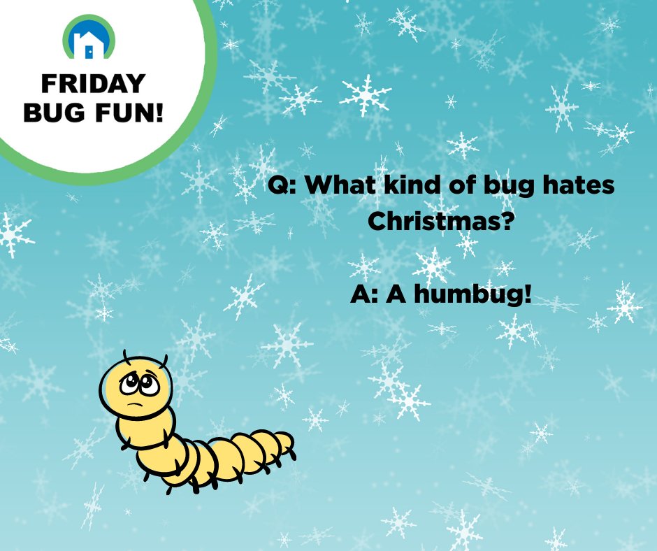PestDefense's tweet photo. #FridayBugFun https://t.co/saG5xOLo6p