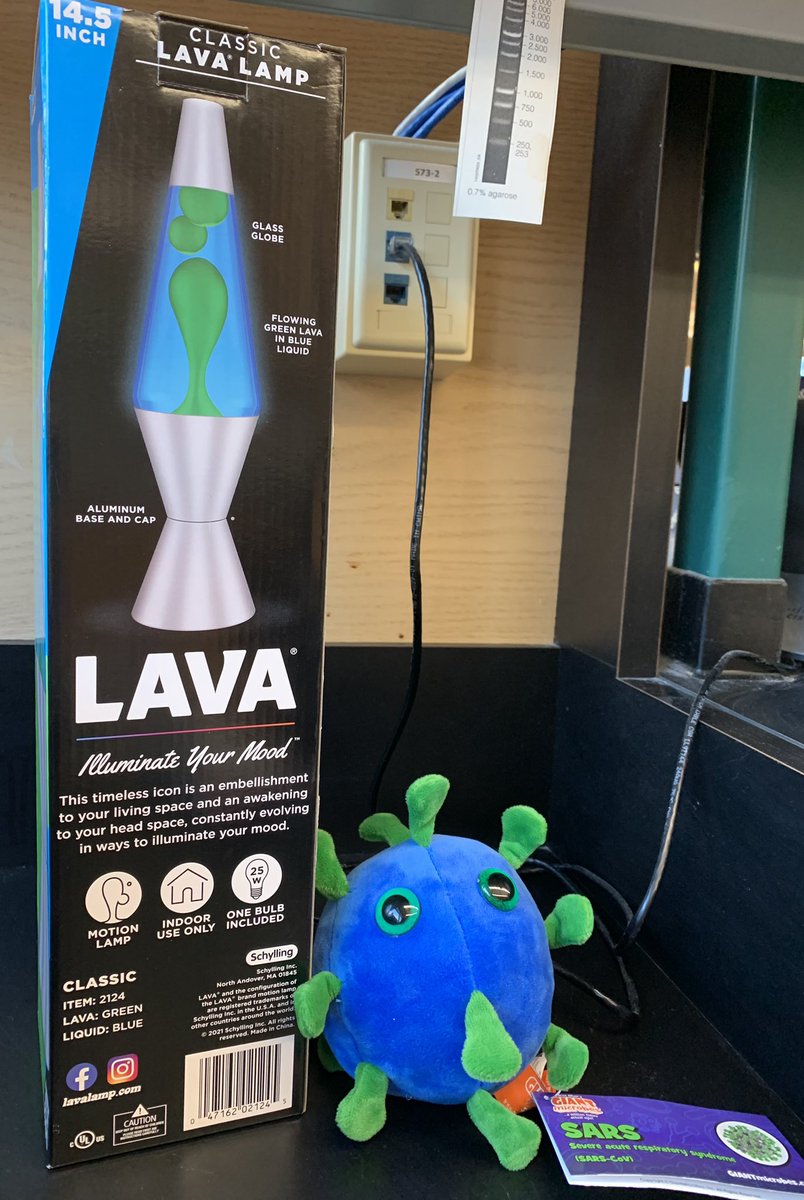 Mae Staples Lux, PhD tweet media