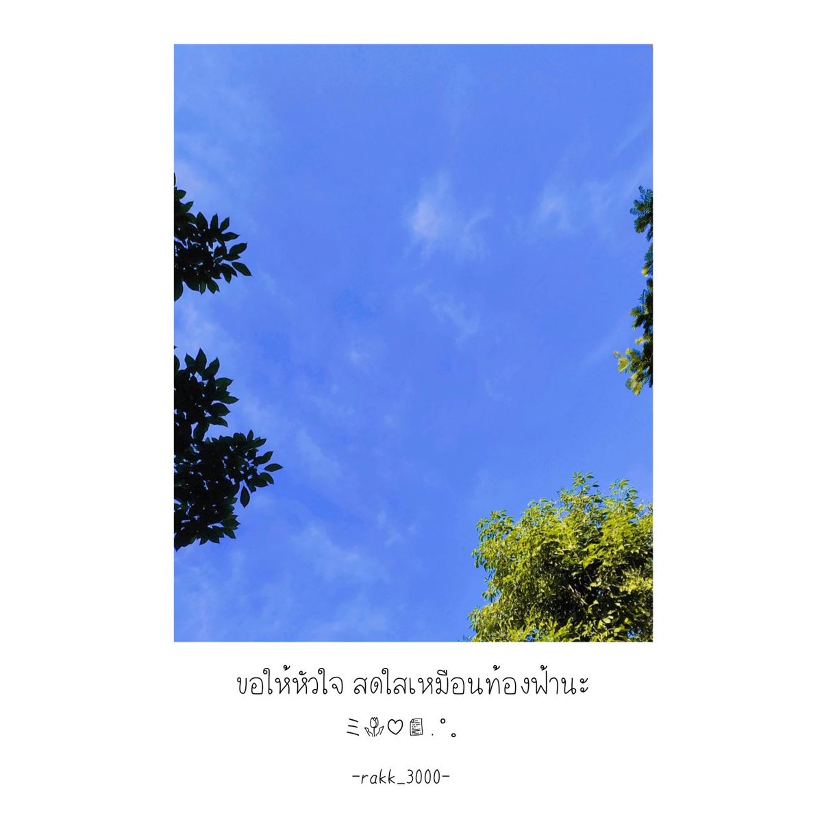 Rakk_3000's tweet photo. ミ🌷♡📄.°୭̥
#แคปชั่นเหงา #คนรัก #รักที่สุด #เหงาใจ #คนคลั่งรัก #คนคั่นเวลา #คำคมความรัก #คำคมโดนๆ #คำคมเสี่ยว #คำคมคนอกหัก #คำคมความรู้สึก #คิดถึง #รักเขาแต่เขาไม่รัก #เขาไม่ได้รักเรา #แคปชั่นเศร้า #แคปชั่นความรัก #แคปชั่นความรู้สึก #รักแฟน  #คำคมรักแฟน​ #คำคมเสี่ยวๆก่อนนอน😪😪 https://t.co/R6gR11lBEx
