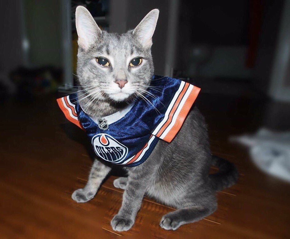 If you’re taking nominations for an #Oilers’ @BoosterJuice Cat Calendar, I’m ready, @EdmontonOilers! 😹