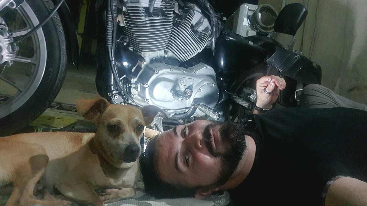 dontonixb's tweet photo. Cambiando el aceite de la 🛵 con ayuda perruna. https://t.co/Rpub9ycqn6
