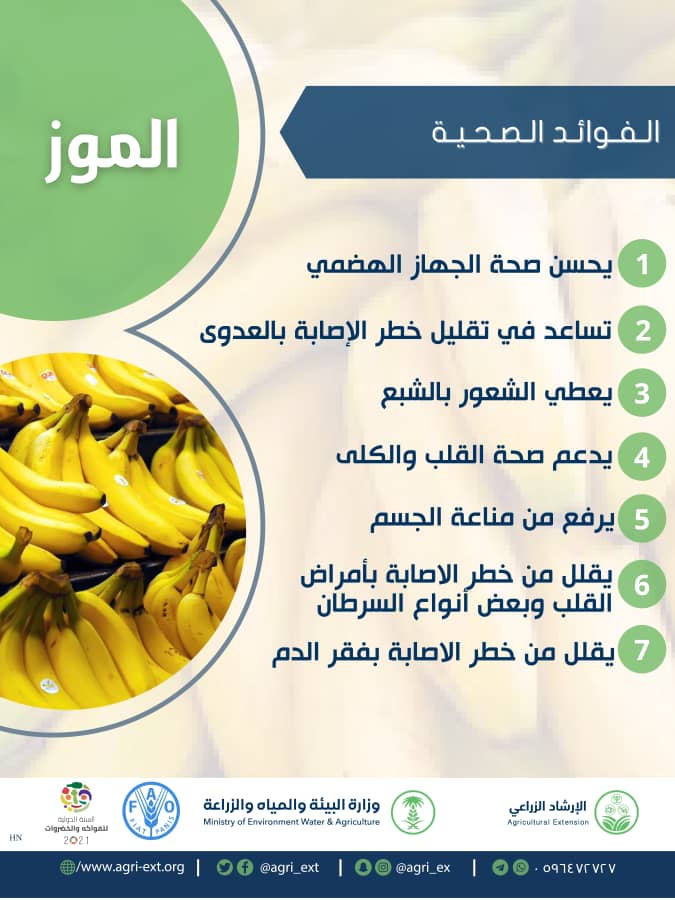 agri_ext's tweet photo. يحسن من صحة الجهاز الهضمي، وصحة القلب والكلى، ويعطي الشعور بالشبع، ويرفع من مناعة الجسم؟! … عن #الموز نتحدث
#الحد_من_الفاقد_والمهدر
#التنمية_المستدامة
#التوعية_الغذائية
#التوعية_الصحية
#تقنيات_مبتكرة
#IYFV2021 https://t.co/PG9Z2AUYfL