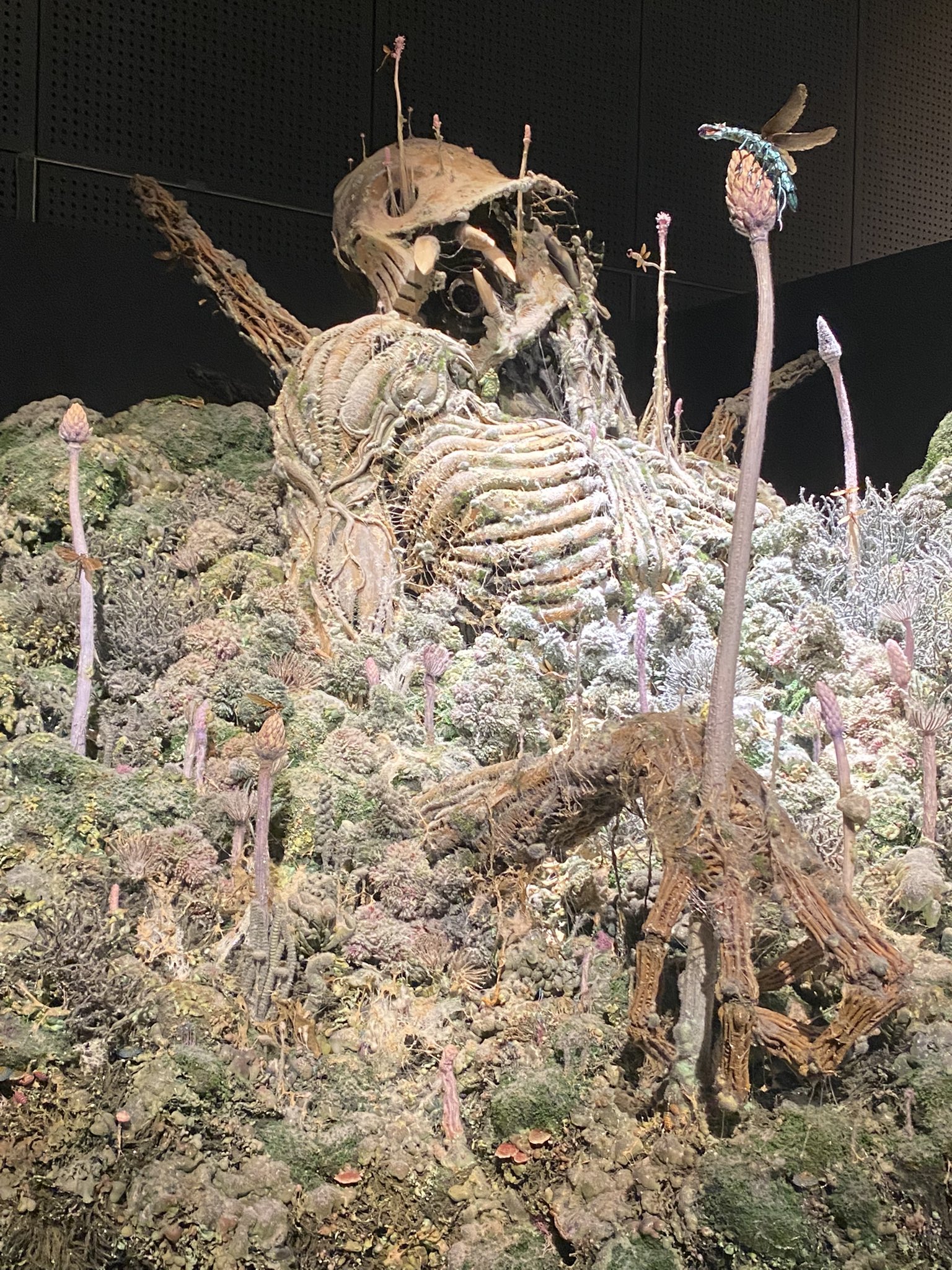 Germanico Laposse Germanlaposse Twitter