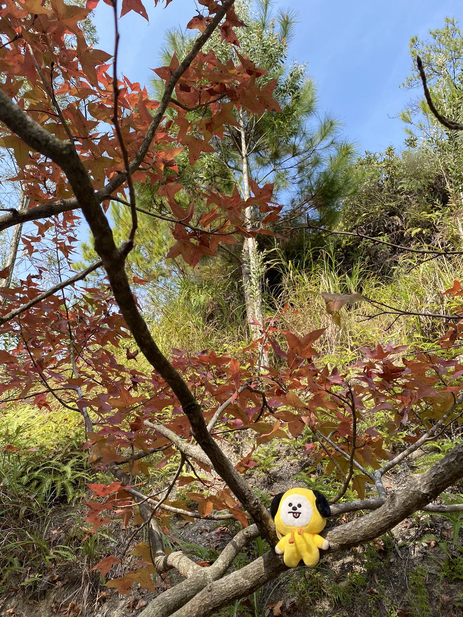 FishHehe's tweet photo. https://t.co/DPLN8cmZl2