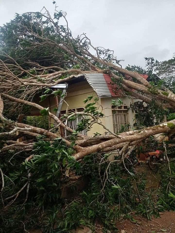 johnmilesss's tweet photo. Palawan needs urgent help, too. Isla kami na may limited access sa resources. Walang kuryente. Walang signal. Sana mapansin at matulungan din ang Palawan. Sana magpadala ng tulong mula sa national. Huling nag landfall si #OdettePH sa Palawan. #RescuePH #RescuePalawan. https://t.co/tBqOS0zV61