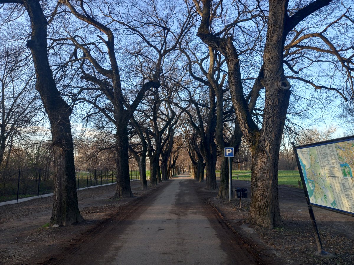 keeper_of_books's tweet photo. On our way to grab the kids, treelane for treepeople https://t.co/Nzb88lv34i