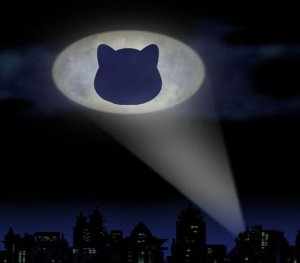 dogenfinance's tweet photo. It is time. https://t.co/ngHOYIKLDo