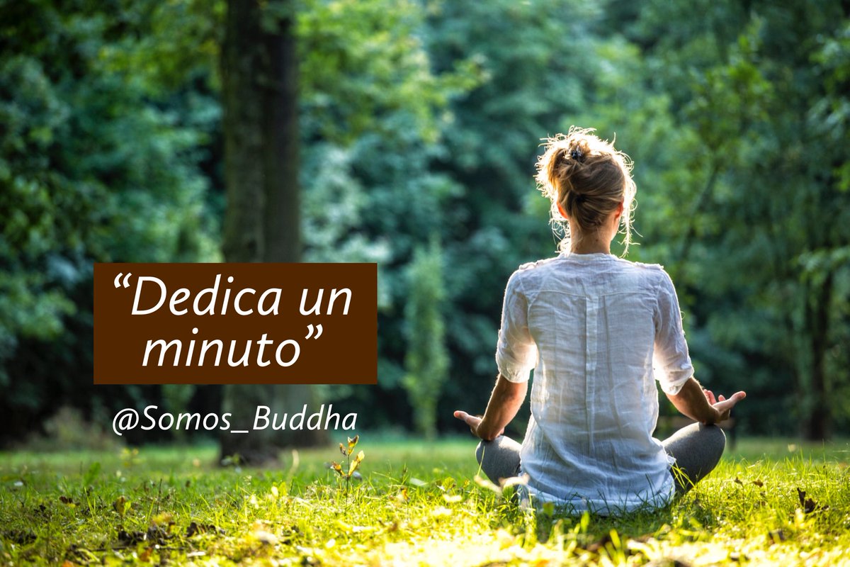 Somos_Buddha's tweet photo. Dedica un minuto de silencio y piensa en todas las personas que te han dado amor y han formado. Cierra tus ojos, ellos(as) vendrán a ti.  
Respira, suspira, agradece y sonríe. #Namaste 

-Se la Paz que habita en ti- https://t.co/uMeN9iikDe