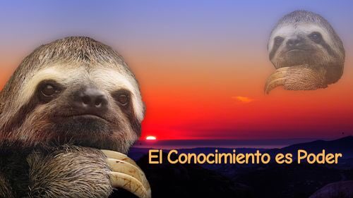 MemeLerena's tweet photo. @leolerena https://t.co/UzBS6TSZLh