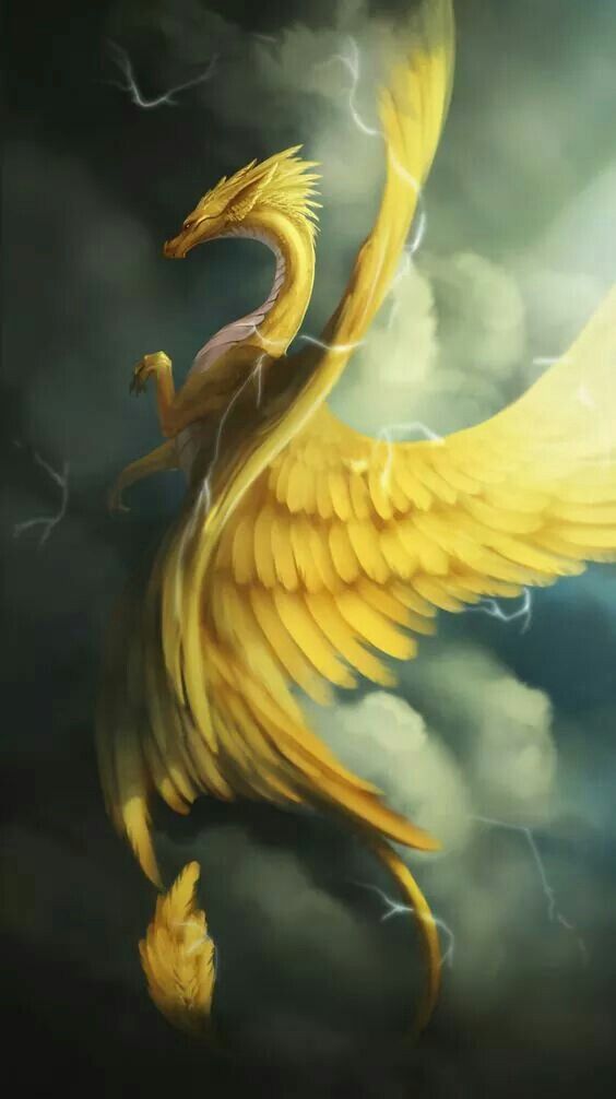 Inheritance Cycle Fan Account tweet media
