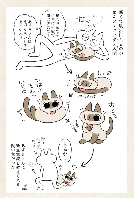 お風呂めんどくさいまんが #シャム猫あずきさんは世界の中心 