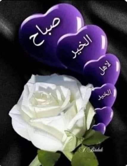 6Wfatma's tweet photo. استودع الله الذي لا تضيع ودائعه🤲💜🕊
 ديني ونفسي وأمانتي وخواتيم عملي 
 وأبنائي وأهلي وأحبتي وبيتي ومالي وجميع 
 ما أنعم الله به علي
 اللهم جملني بقلب رحيم وعقل حكيم ونفس صبوره يارب اجعل بسمتي عاده وحديثي عباده وحياتي سعاده وخاتمتي شهاده  
 صباحكم دعوة مستجابة بإذن بالله💜🕊🌼 https://t.co/4Au4s9DzyZ