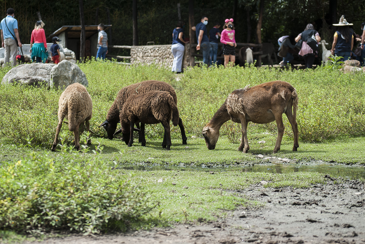 BiocontactoVZLA's tweet photo. Aún NO aparecen, han pasado más de 48 horas #AnimalesDeBiocontacto https://t.co/I6GRLMWFzJ