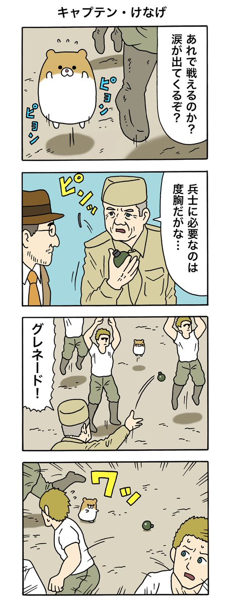 8コマ漫画けなげちゃん「キャプテン・けなげ」https://t.co/wVSy3a1kri

#けなげちゃん #キューライス 