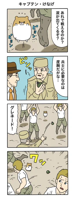 8コマ漫画けなげちゃん「キャプテン・けなげ」けなげちゃん #キューライス 