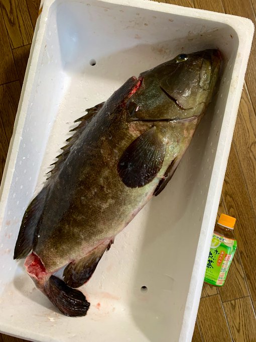 なんと今日は「「「クエ」」」 