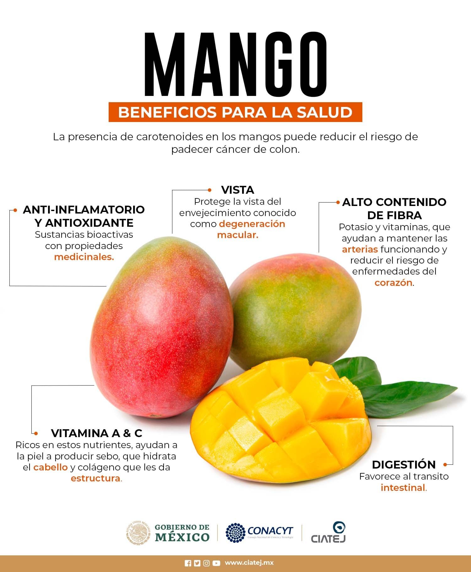 Indulgente lista Verde CIATEJ A.C. on Twitter: "El contenido de vitaminas y minerales del #mango  🥭🥭 hacen que sea una fruta con varios beneficios para la salud si  consumimos esta fruta con regularidad #Enterate 👇