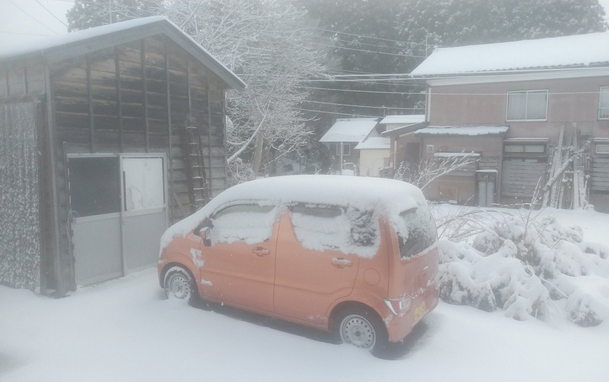 noahchama48's tweet photo. 雪積もった☃️ https://t.co/fURnElTiRL