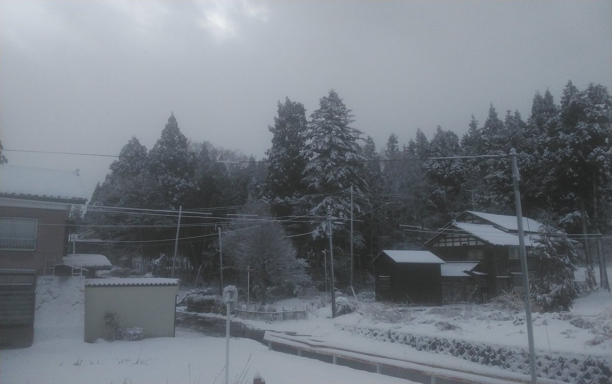 noahchama48's tweet photo. 雪積もった☃️ https://t.co/fURnElTiRL