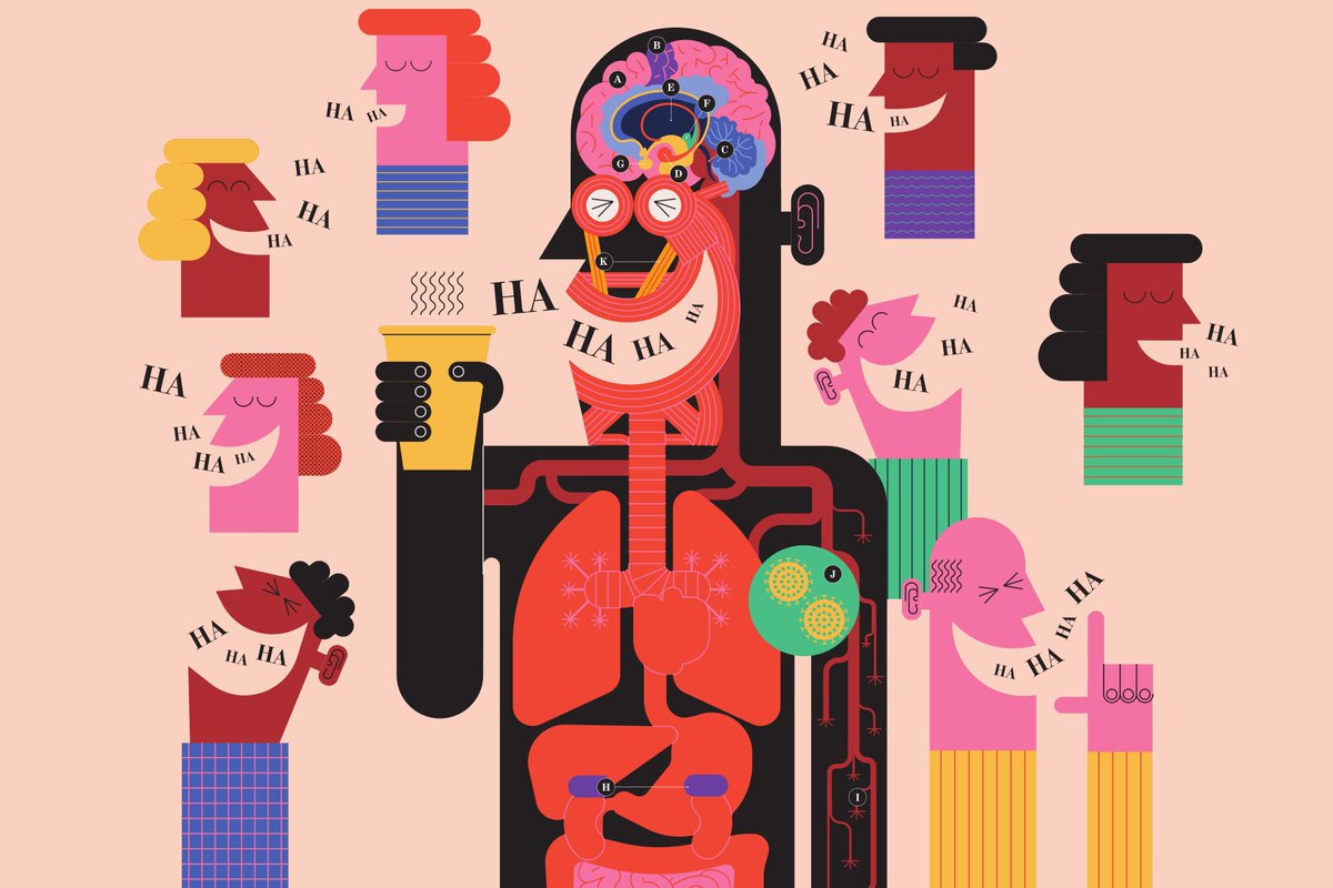 Why does laughing feel so stinkin’ good? popsci.com/story/science/…