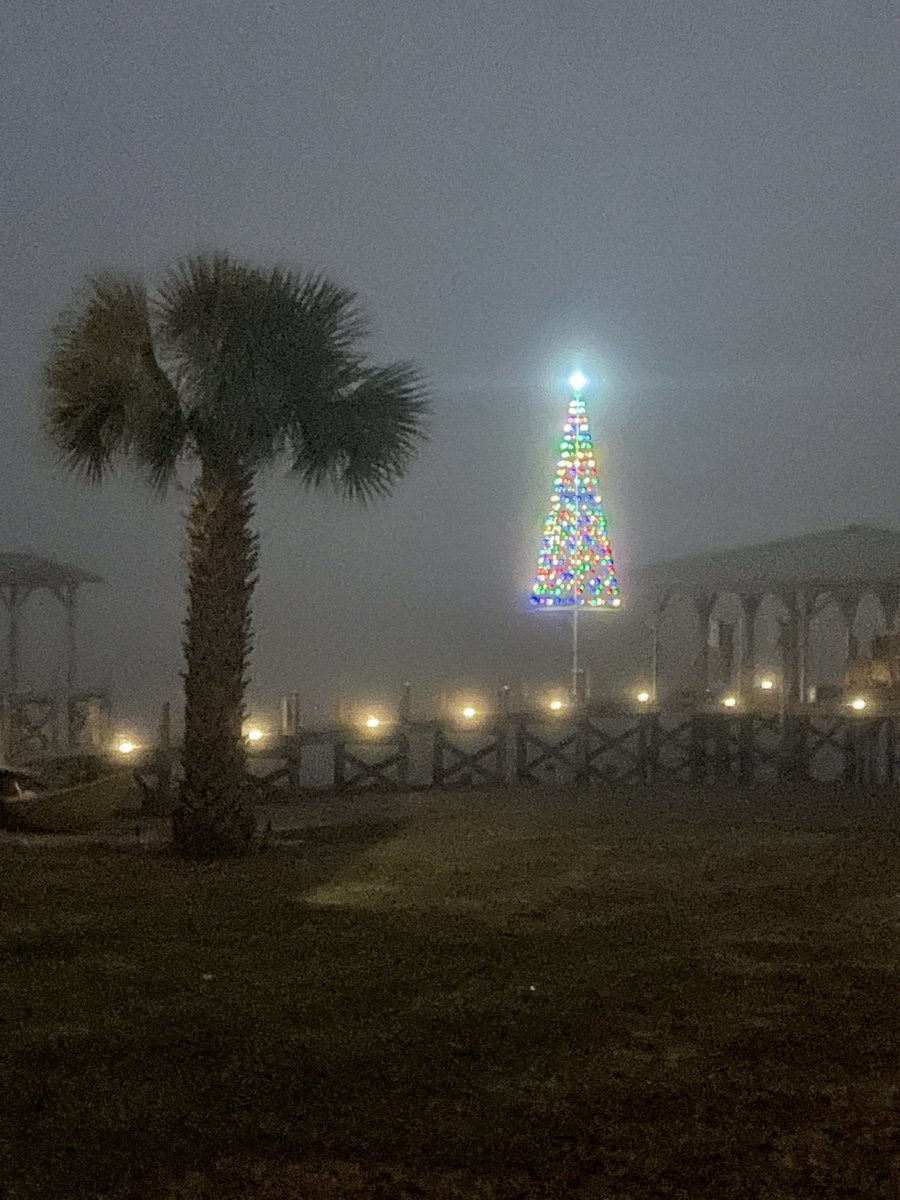 Merry Christmas from Lake Greenwood!