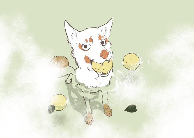 「食べ物 柴犬」のTwitter画像/イラスト(新着)｜4ページ目