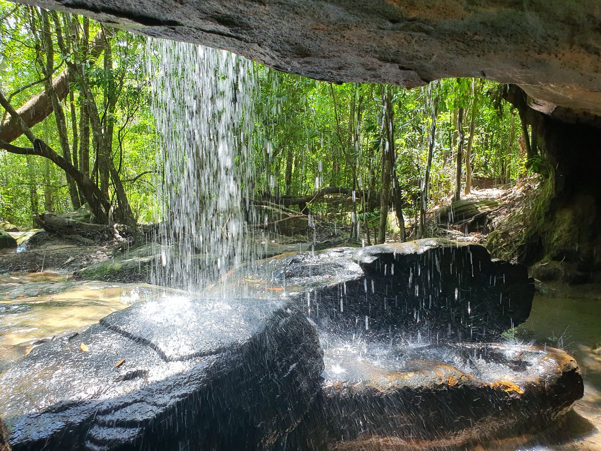 Be_Write_Back's tweet image. Do I want to sit in this cave behind a waterfall and write? Why yes, yes I do. Found this lovely spot near Somersby Falls #amwriting #AusWrites