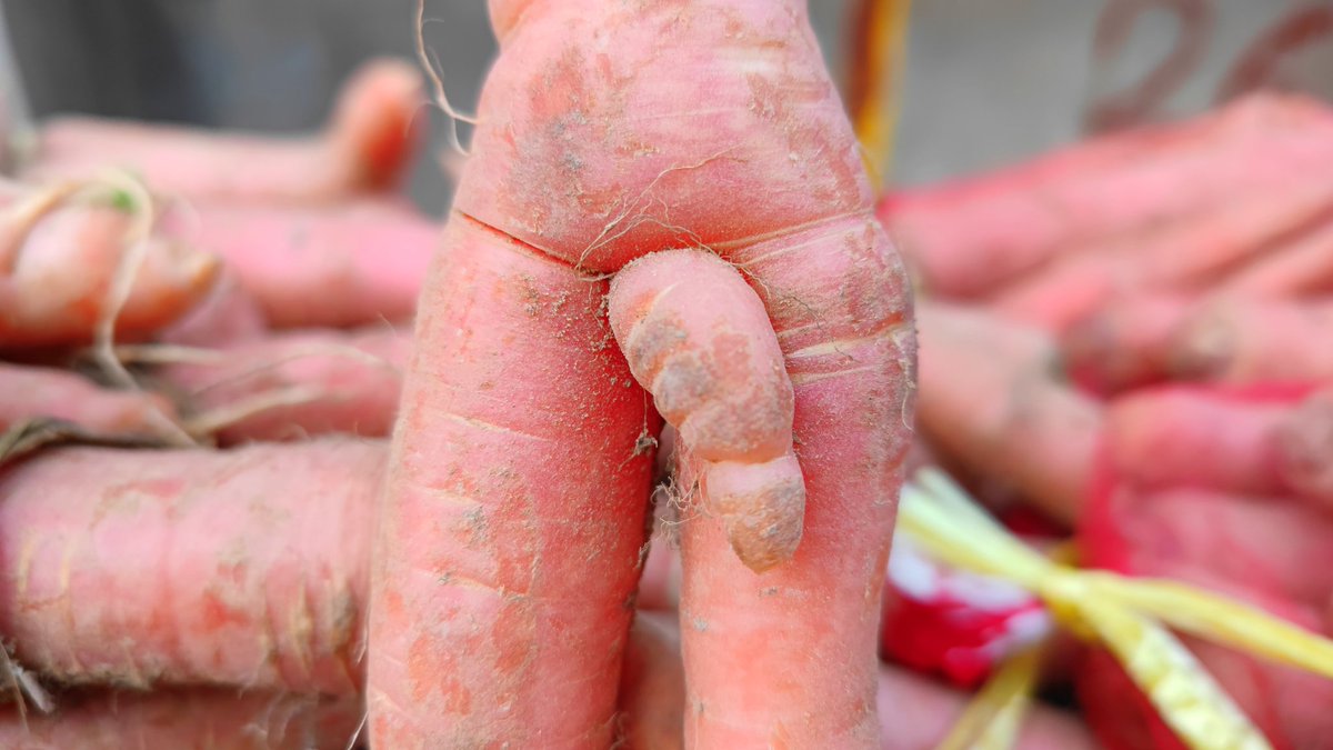 大自然的鬼斧神刀，惟妙惟肖