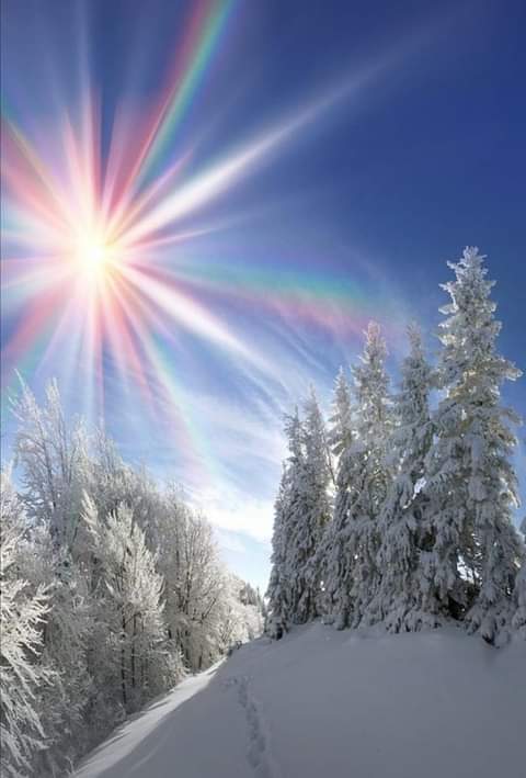 Krystyn31197823 tweet picture