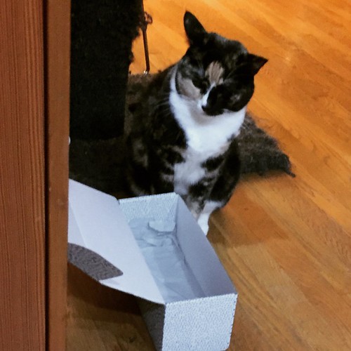 YourRandomImage's tweet image. #undersize