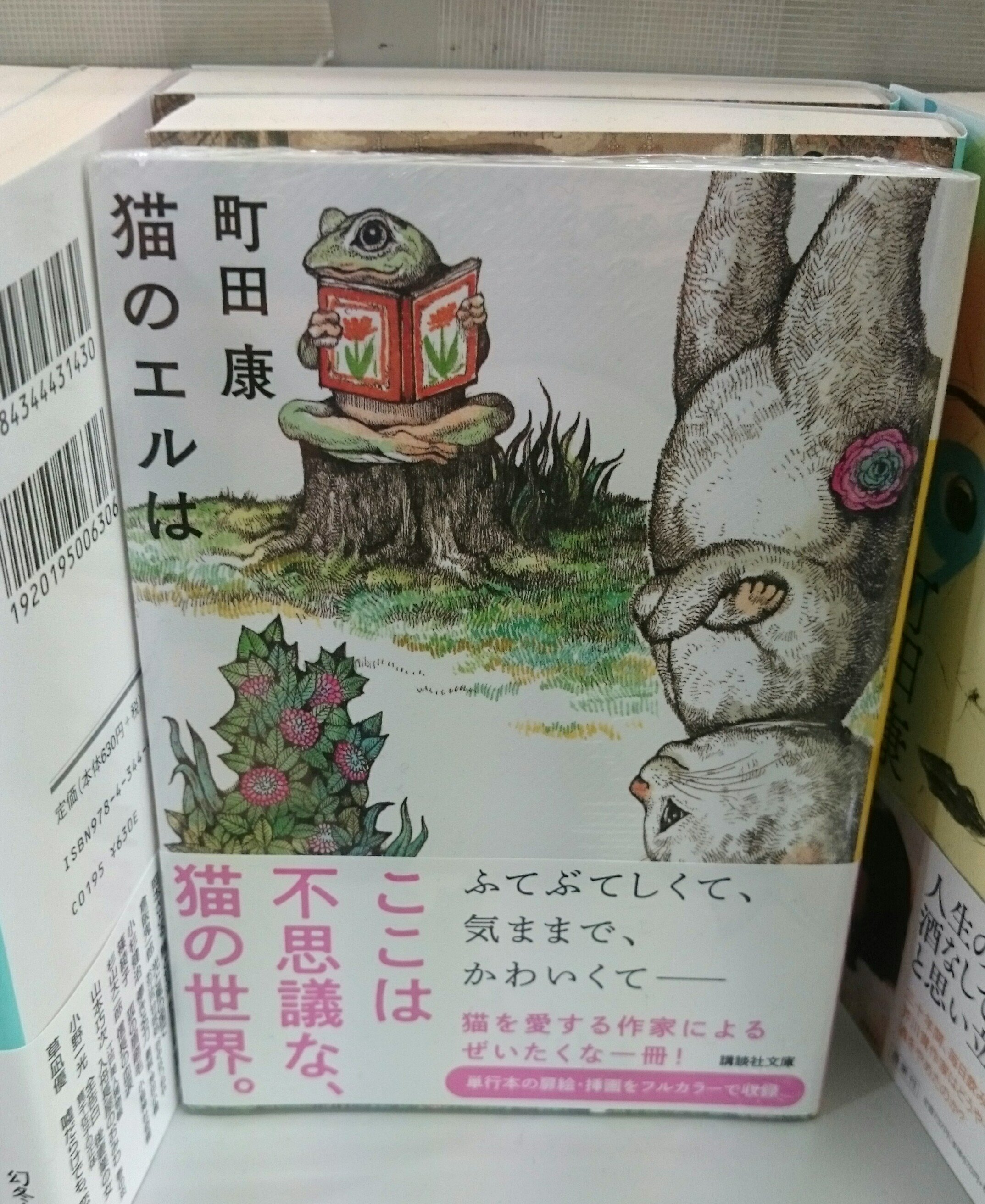 ブックスルーエ 猫のエルは 町田康 講談社文庫 猫を愛するすべての人に贈る珠玉の作品集 装画はヒグチユウコさん 単行本の扉絵 挿画もフルカラーで収録されています 猫の眼で見る世界をぜひ ２階文庫コーナーにて た 町田康