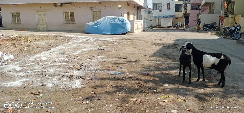 Deeswm9's tweet photo. @Surende78146574 @GHMCOnline Cleared and got rectified https://t.co/mtw8pFY7ZR
