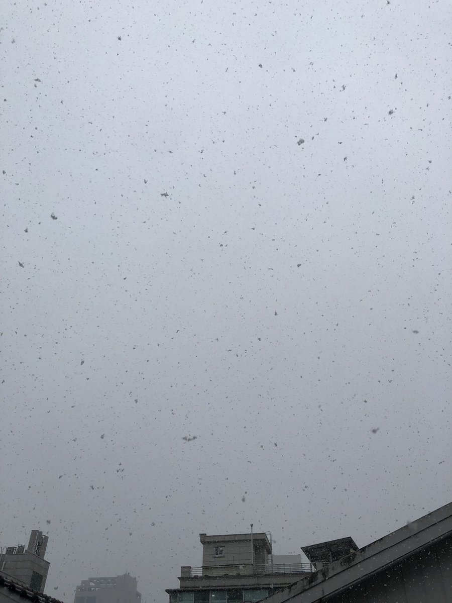 _SongMisako1108's tweet photo. #눈이오다 #서울 

-12도까지 내려가는 듯함❄️❄️☃️🇰🇷 https://t.co/cbZ7vwbVAc
