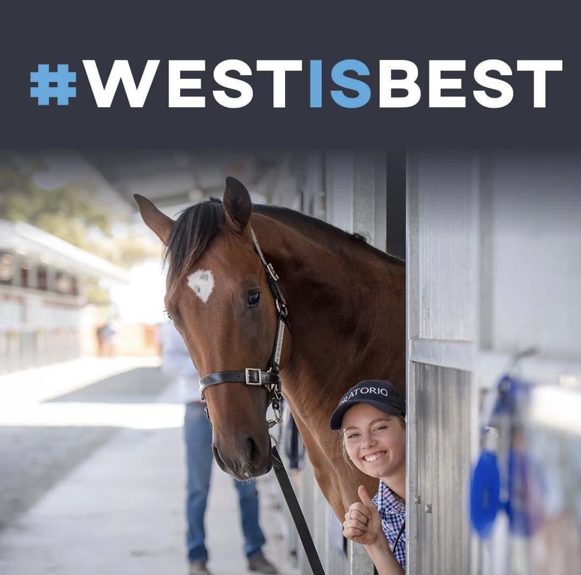 RacingWA_'s tweet photo. More than $600,000 is to be won by thoroughbred owners and breeders in the first Westspeed Platinum Race Day today at Ascot Racecourse.
#westisbest #westspeed #waracing https://t.co/fW6YxLB17H